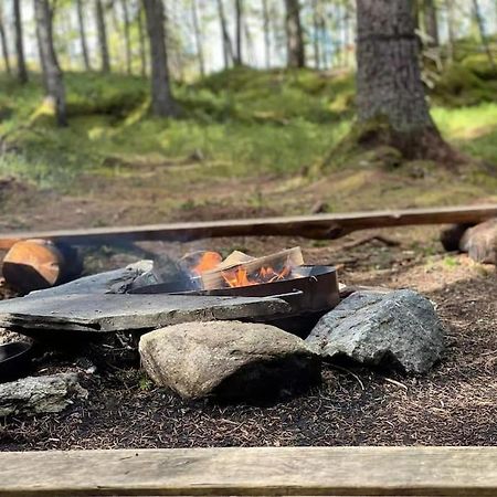 Treetop Ekne - Hytte I Skogen Med Hengebru Ξενοδοχείο Levanger Εξωτερικό φωτογραφία