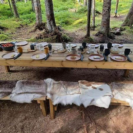 Treetop Ekne - Hytte I Skogen Med Hengebru Ξενοδοχείο Levanger Εξωτερικό φωτογραφία