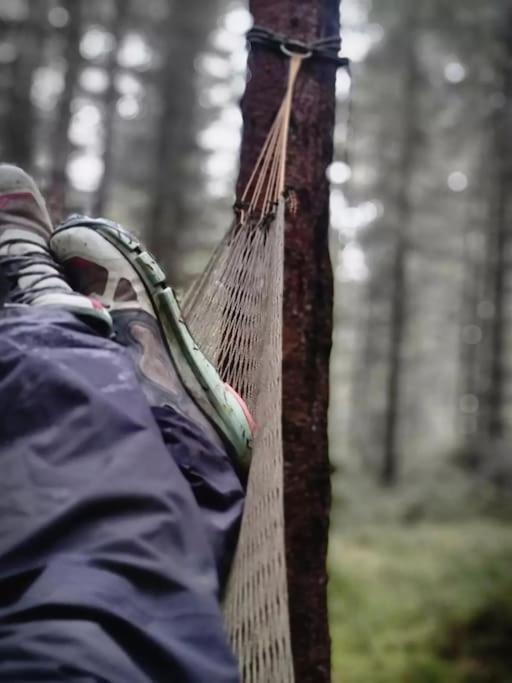 Treetop Ekne - Hytte I Skogen Med Hengebru Ξενοδοχείο Levanger Εξωτερικό φωτογραφία