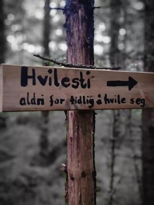 Treetop Ekne - Hytte I Skogen Med Hengebru Ξενοδοχείο Levanger Εξωτερικό φωτογραφία