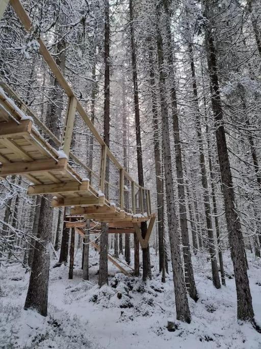 Treetop Ekne - Hytte I Skogen Med Hengebru Ξενοδοχείο Levanger Εξωτερικό φωτογραφία