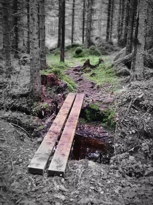 Treetop Ekne - Hytte I Skogen Med Hengebru Ξενοδοχείο Levanger Εξωτερικό φωτογραφία