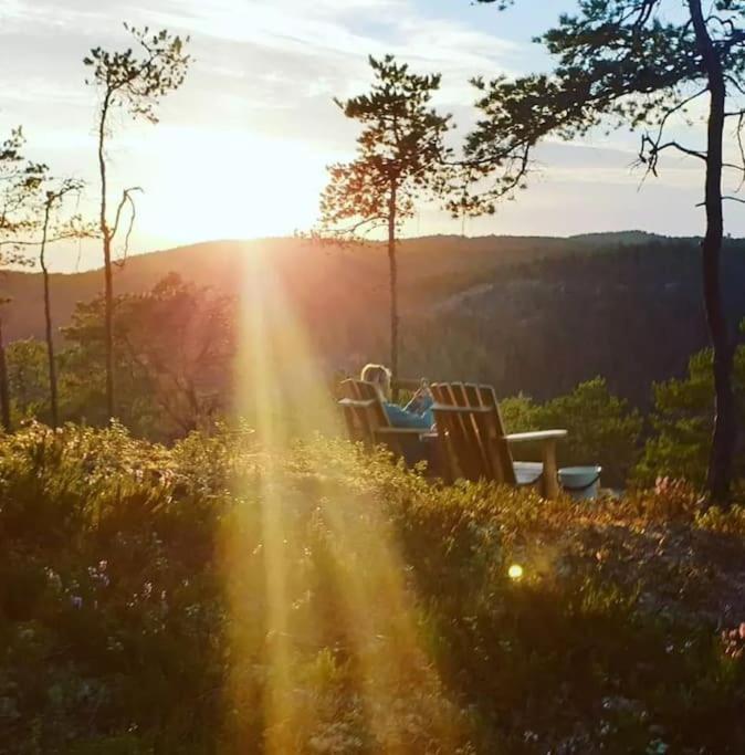 Treetop Ekne - Hytte I Skogen Med Hengebru Ξενοδοχείο Levanger Εξωτερικό φωτογραφία
