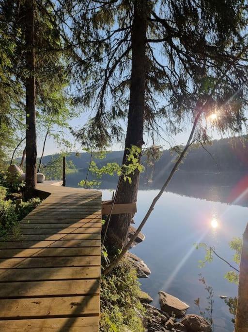 Treetop Ekne - Hytte I Skogen Med Hengebru Ξενοδοχείο Levanger Εξωτερικό φωτογραφία
