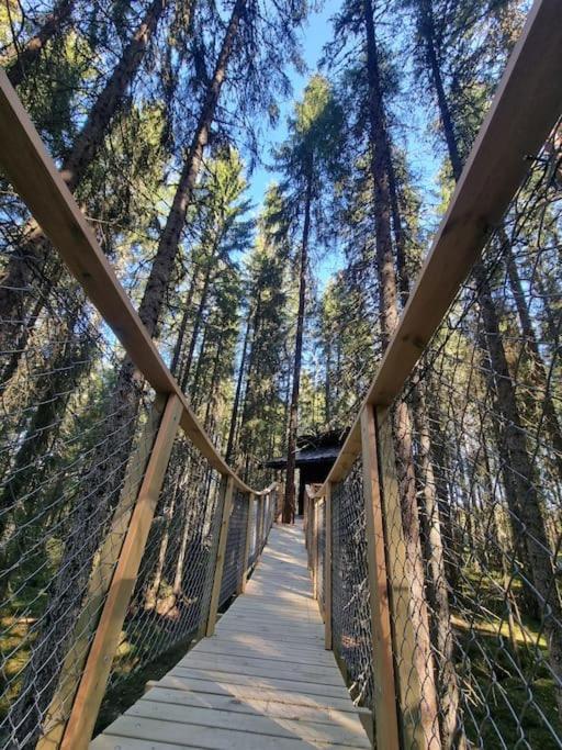 Treetop Ekne - Hytte I Skogen Med Hengebru Ξενοδοχείο Levanger Εξωτερικό φωτογραφία