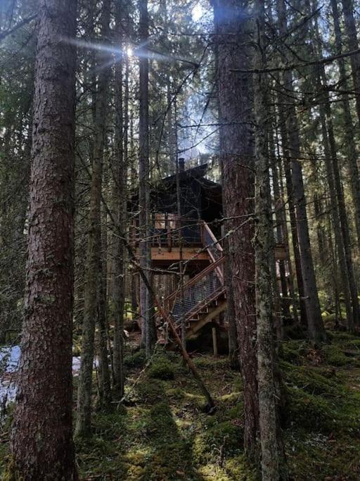Treetop Ekne - Hytte I Skogen Med Hengebru Ξενοδοχείο Levanger Εξωτερικό φωτογραφία