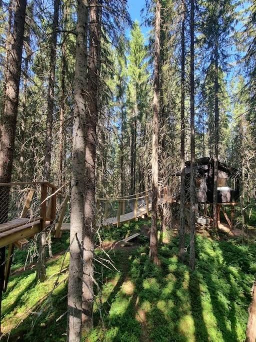 Treetop Ekne - Hytte I Skogen Med Hengebru Ξενοδοχείο Levanger Εξωτερικό φωτογραφία
