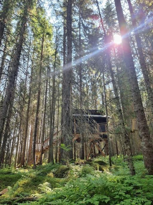 Treetop Ekne - Hytte I Skogen Med Hengebru Ξενοδοχείο Levanger Εξωτερικό φωτογραφία