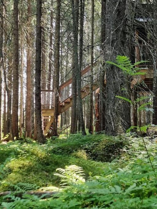 Treetop Ekne - Hytte I Skogen Med Hengebru Ξενοδοχείο Levanger Εξωτερικό φωτογραφία